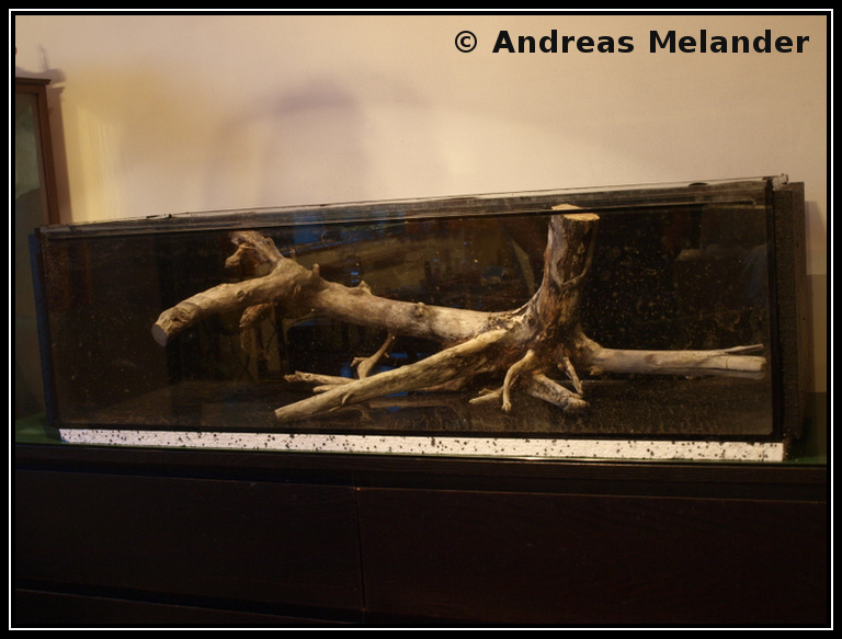 Melanders Aquarium D.I.Y Insulating a Fish Tank