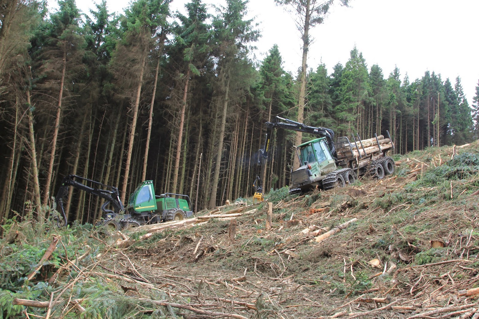 Wicklow and the Proposed Sale of Coillte Harvesting Rights Wicklow