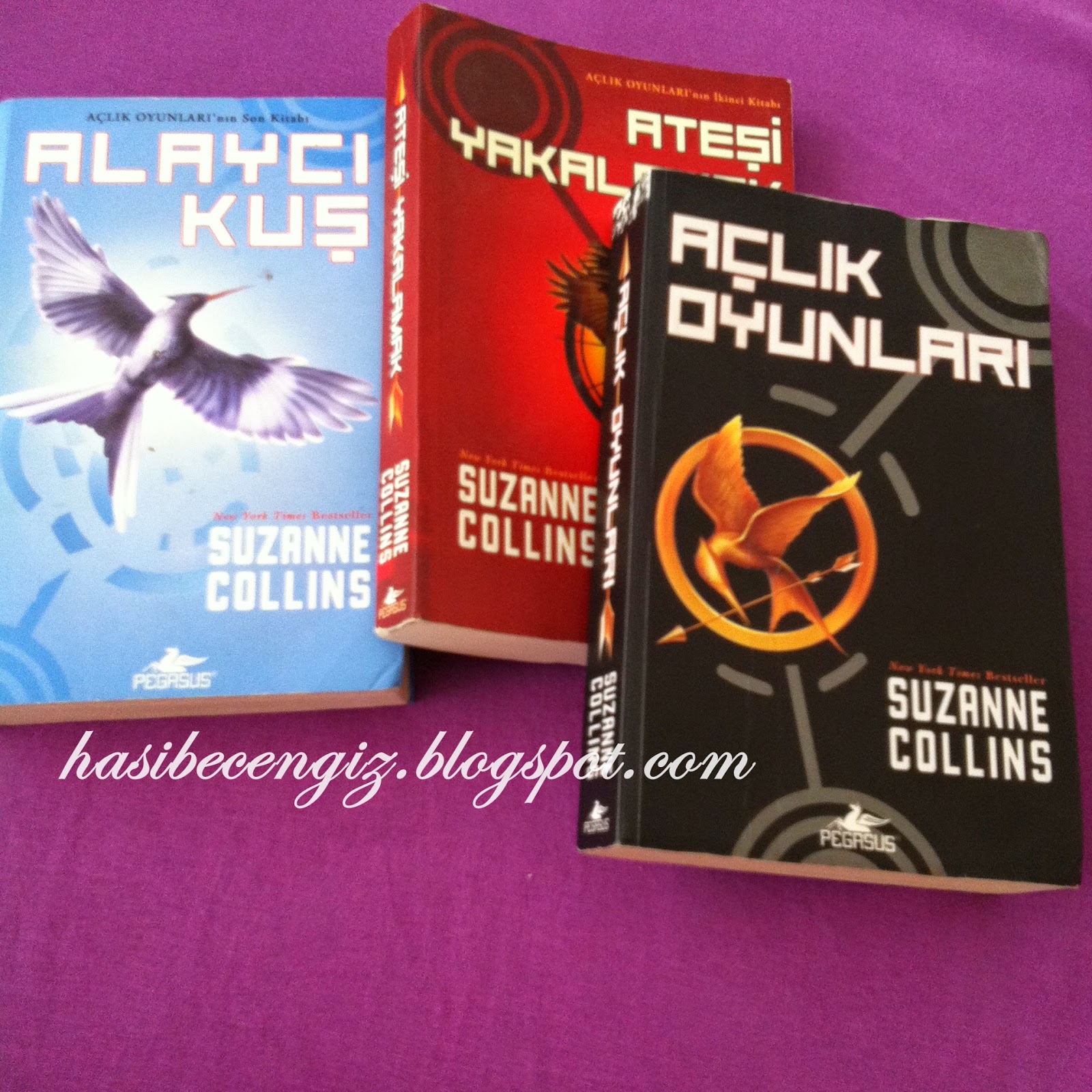 Hasibe Cengiz Kisisel Blog Kitap Elestirisi Aclik Oyunlari Serisi Suzanne Collins