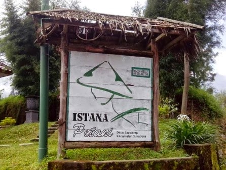 istana petani homestay istana petani homestay