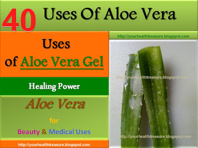 Discussion on this topic: 7 Amazing Benefits And Uses For Aloe , 7-amazing-benefits-and-uses-for-aloe/ Discussion on this topic: 7 Amazing Benefits And Uses For Aloe , 7-amazing-benefits-and-uses-for-aloe/