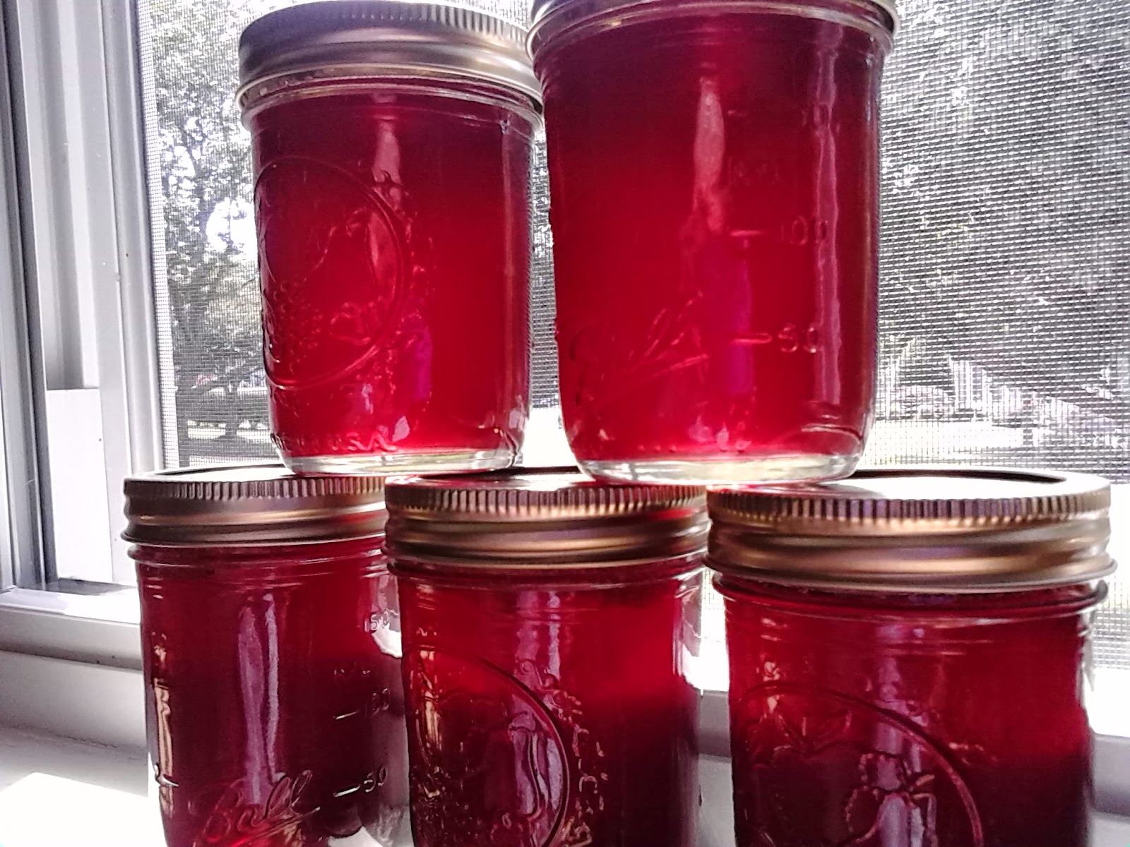Southern Forager Wild Blackberry Crab Apple Sauce