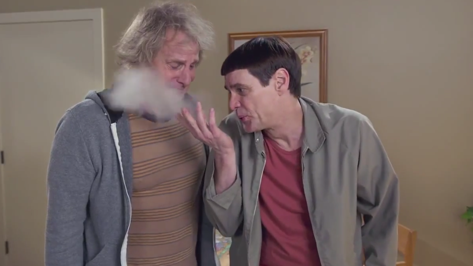 dumb and dumber free download dumb and dumber free download