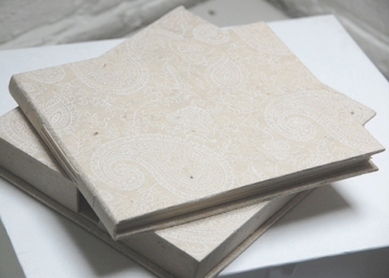 Life without trees picture