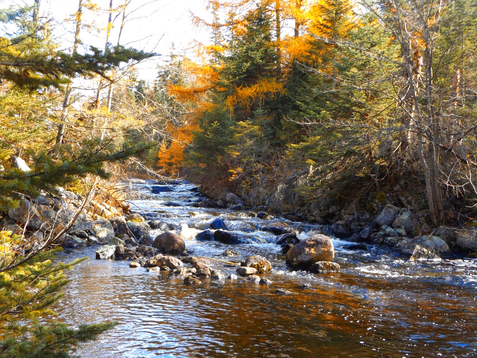 Walking Man 24 7 Wolf Pond(Adirondacks)