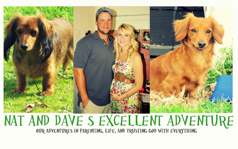 Nat and Dave's Excellent Adventure