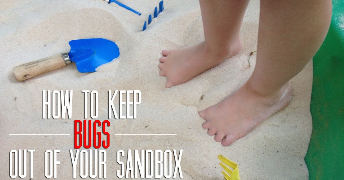 EAT+SLEEP+MAKE Tips Keep Bugs Out of Your Sandbox