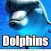 Dolphins: Unique & Interesting Facts with Beautiful Pictures - Free Kindle Non-Fiction