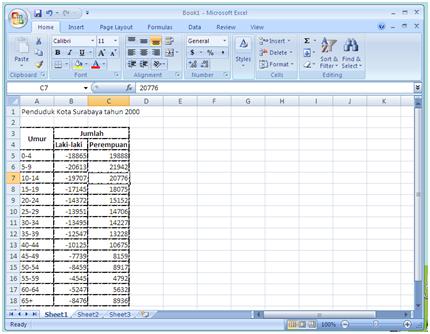 Tya Dewi Pamungkas Membuat Grafik Piramida Penduduk Di Microsoft Excel