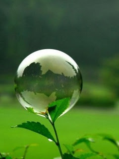 Animated Phone Backgrounds