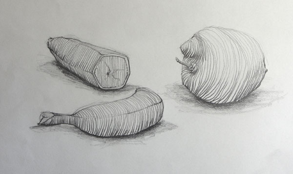 Contour Line Drawing Pdf : Basic drawing bananas pears