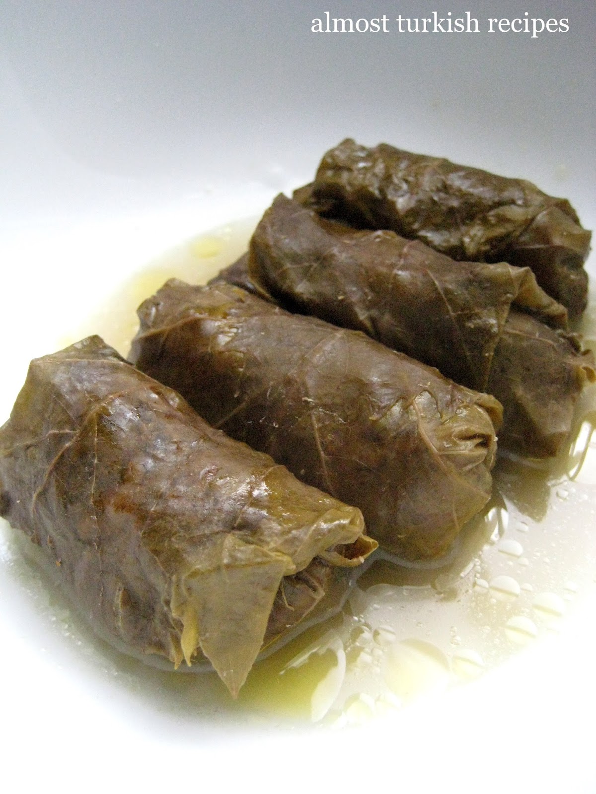 Dolma in grape leaves: cooking recipe with photos 94 Dolma in grape leaves: cooking recipe with photos 16
