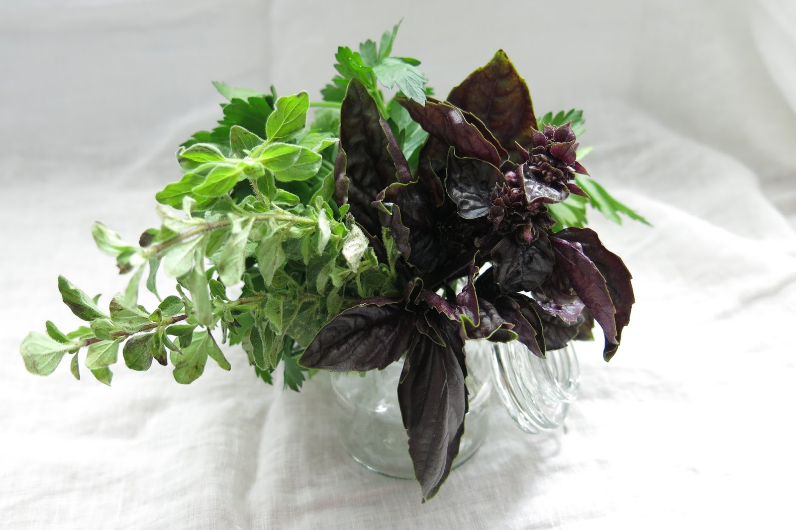 Fresh Herbs Fresh Herbs