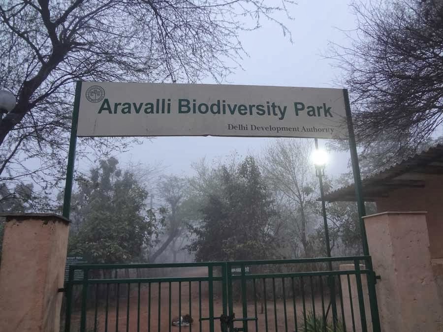 aravalli biodiversity park gurgaon
