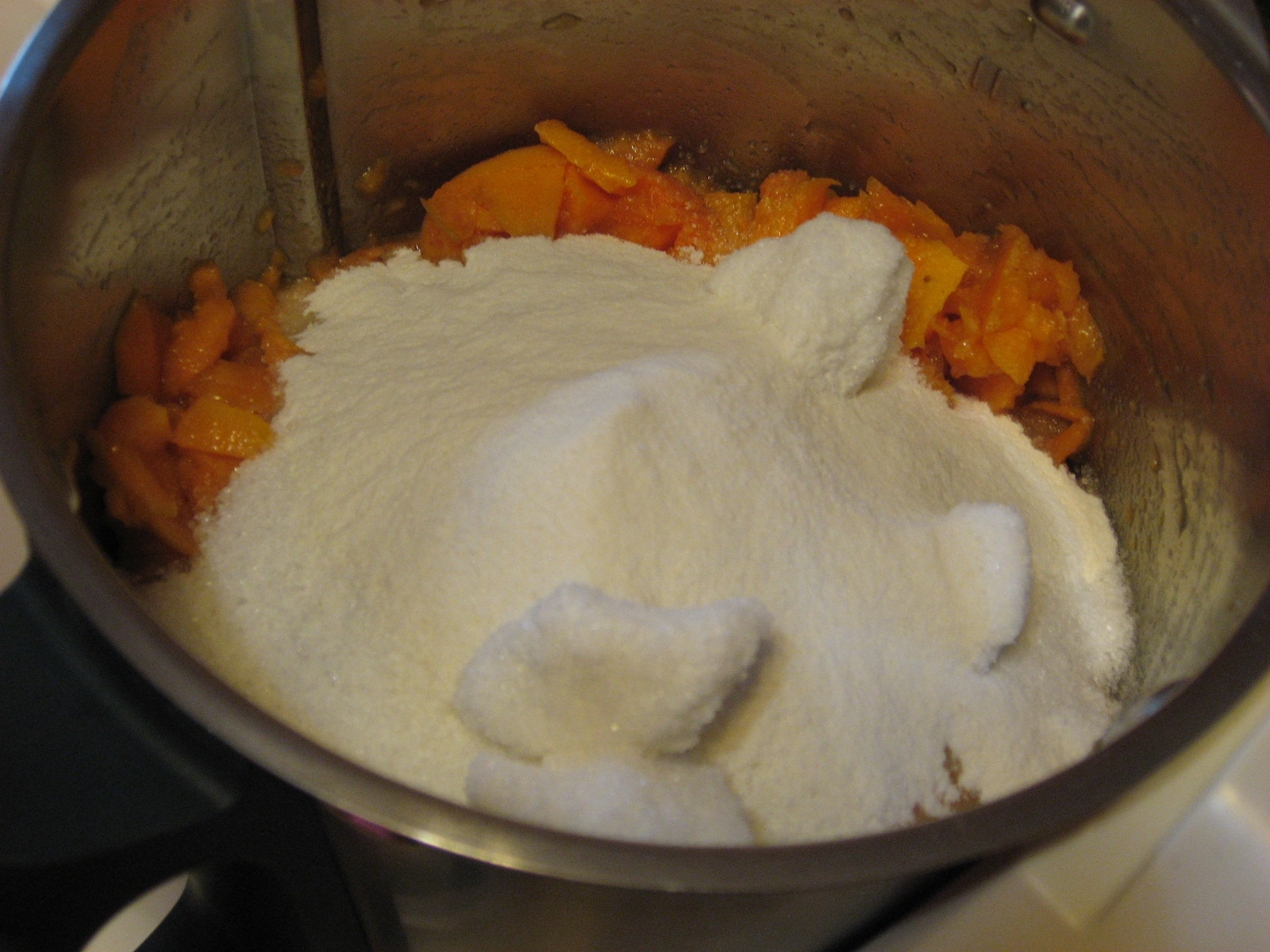 Imparandocucinando Marmellata Di Albicocche Con Il Bimby E Fruttapec