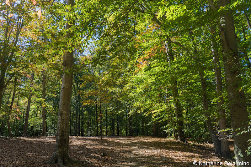 Prince William Forest Park