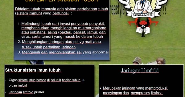 Jenis tulang yang berfungsi dalam melindungi organ dalam