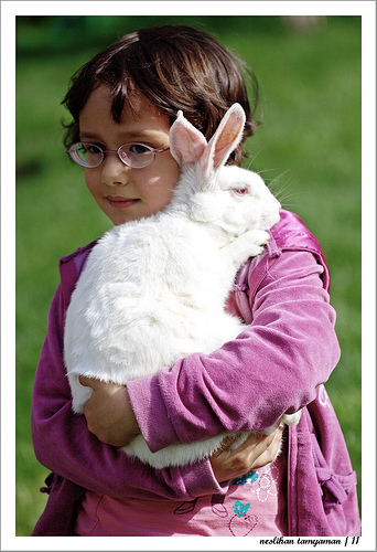 Tawsi Nin Dunyasi Tavsanlar Ve Cocuklar