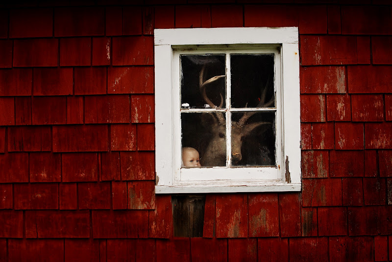 Picture Window Photo Blog November 2011