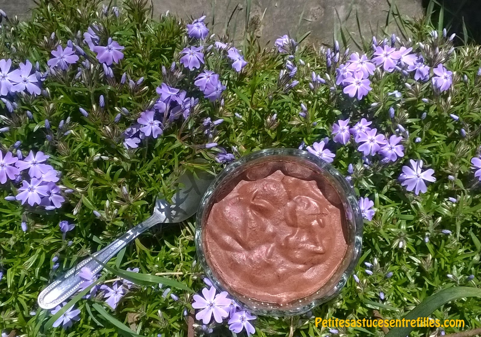 http://www.petitesastucesentrefilles.com/2015/04/mousse-au-chocolat-au-jus-de-pois.html