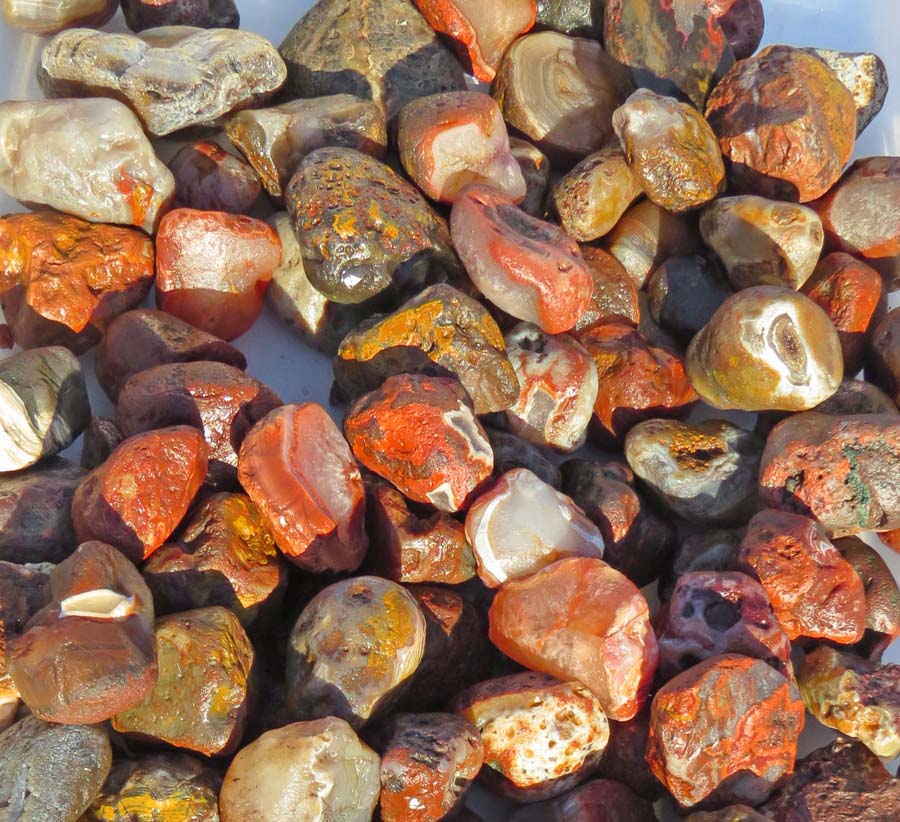 The Agatelady Adventures and Events Moose Lake Agate Days Post 2