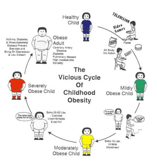 Obesity In Children Causes and Prevention Universal Science Compendium