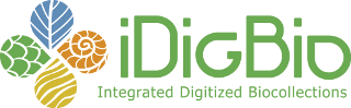 Integrated Digitized Biocollections (iDigBio)
