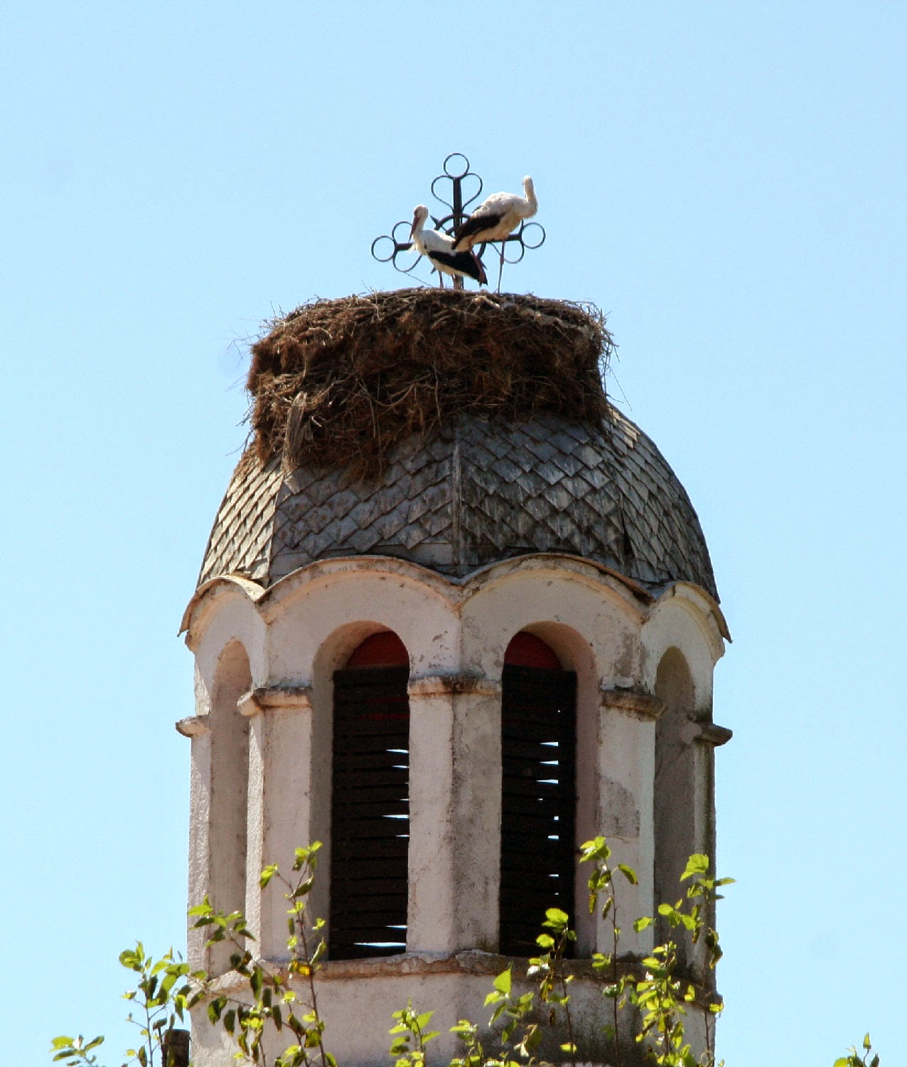 The church storks nest The church storks nest
