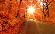 Fondo de pantalla de una carretera en la hermosa época de otoño y los rayos . bella carretera en otoã±o