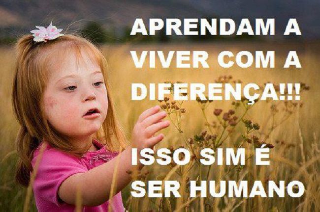 Seesp educação Seesp educação