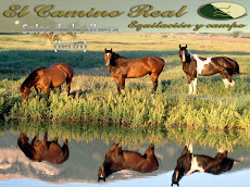 FINCA EL CAMINO REAL