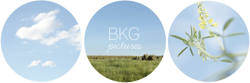 BKG photos