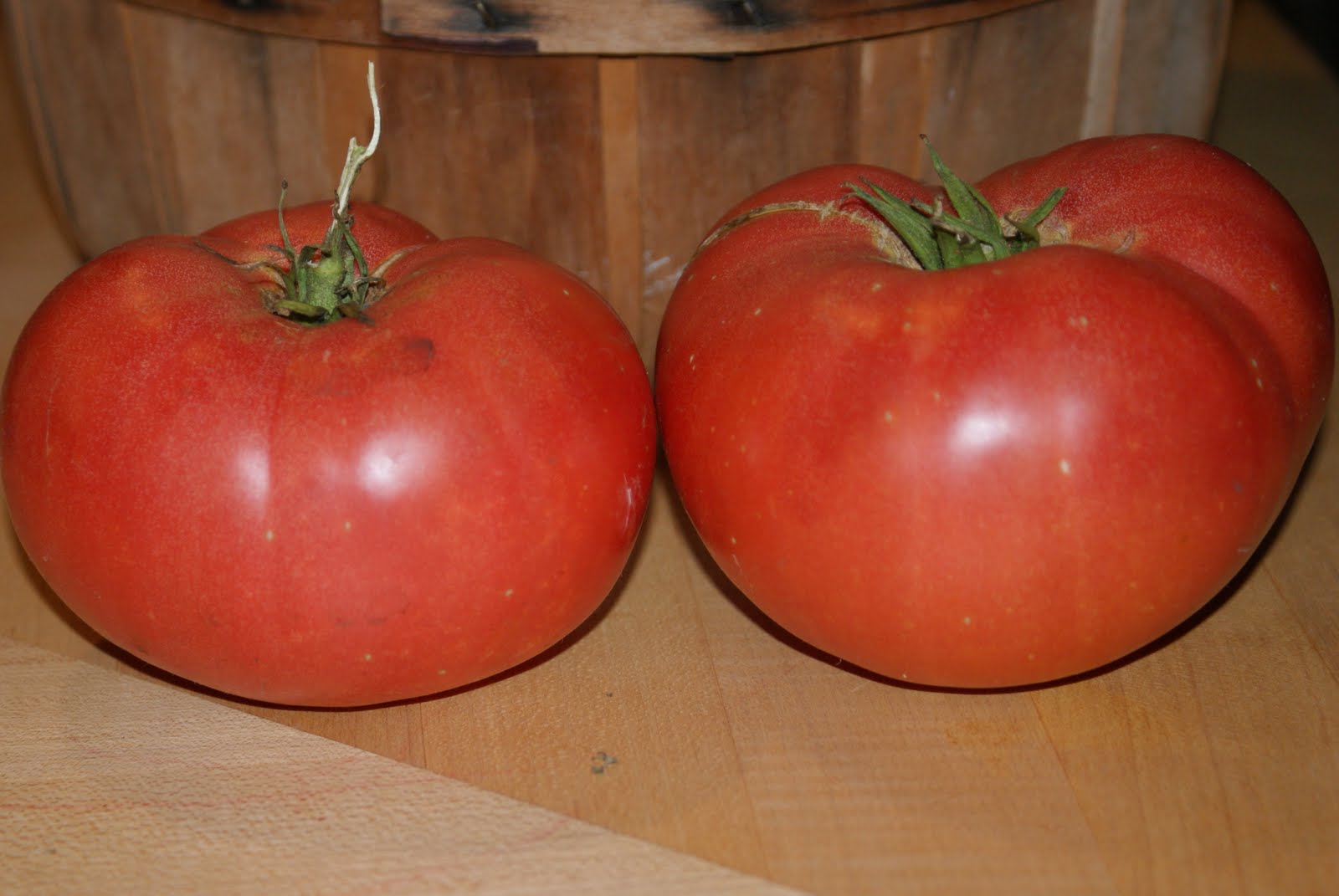 The Barefoot Gardener Tomato Time