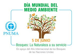 Dia Mundial del Medio Ambiente