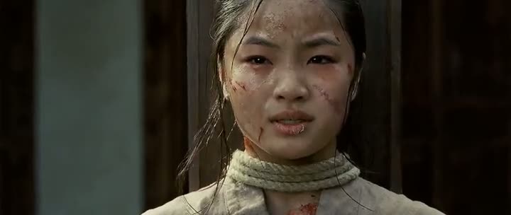 Attack of ninja assassins - hotstarcom