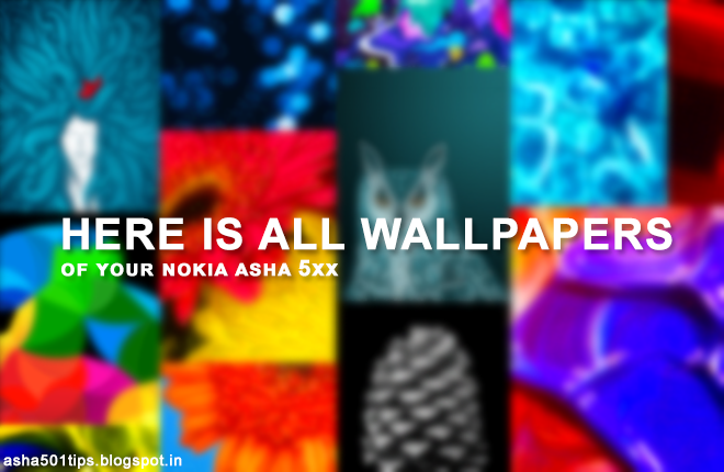 asha 501 tips tricks