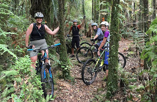 New Zealand Mountain Biking. Native forest. Rotorua.