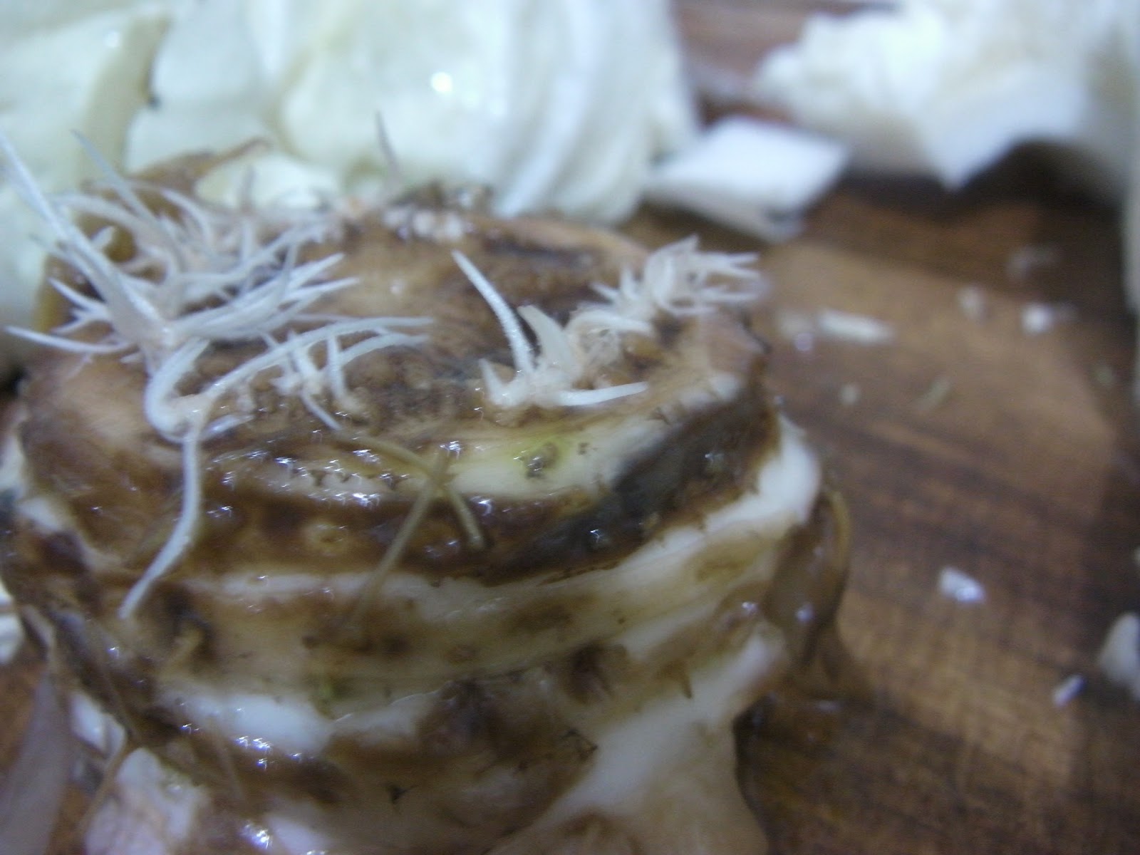 小龜的筆記 大白菜保存方法 高麗菜同此法