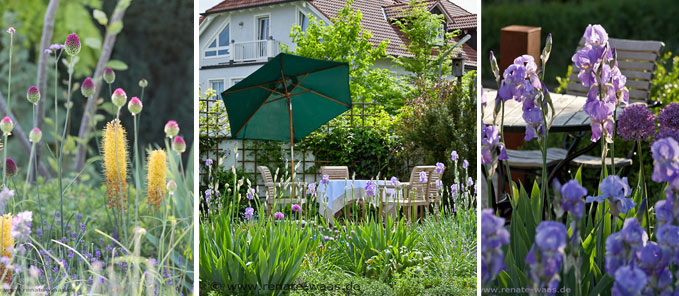 sonnig, Gartenbeete, Rabatten, schöne Beete, Rabatten im Garten sonnig, Gartenbeete, Rabatten, schöne Beete, Rabatten im Garten