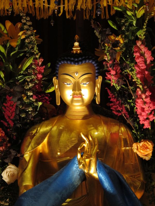 Bodensee Forum Maitreya Herzschrein Reliquien Tour Pneuma institute's project to provide charitable support to tibetan the buddha maitreya project emphasizes the education of children and young monks who deal with.