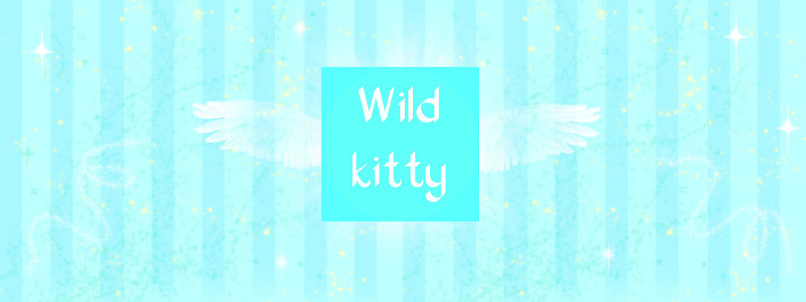Wild Kitty Clothes