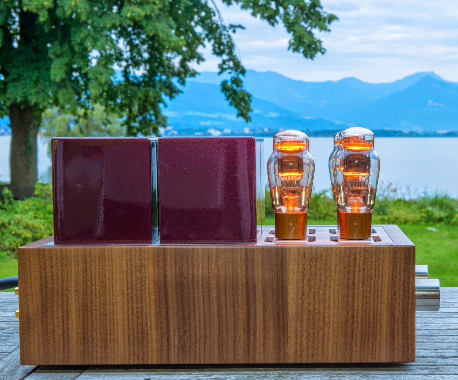 Thomas Mayer Differential 10Y Line Preamp Part 3 M & S Ultimate