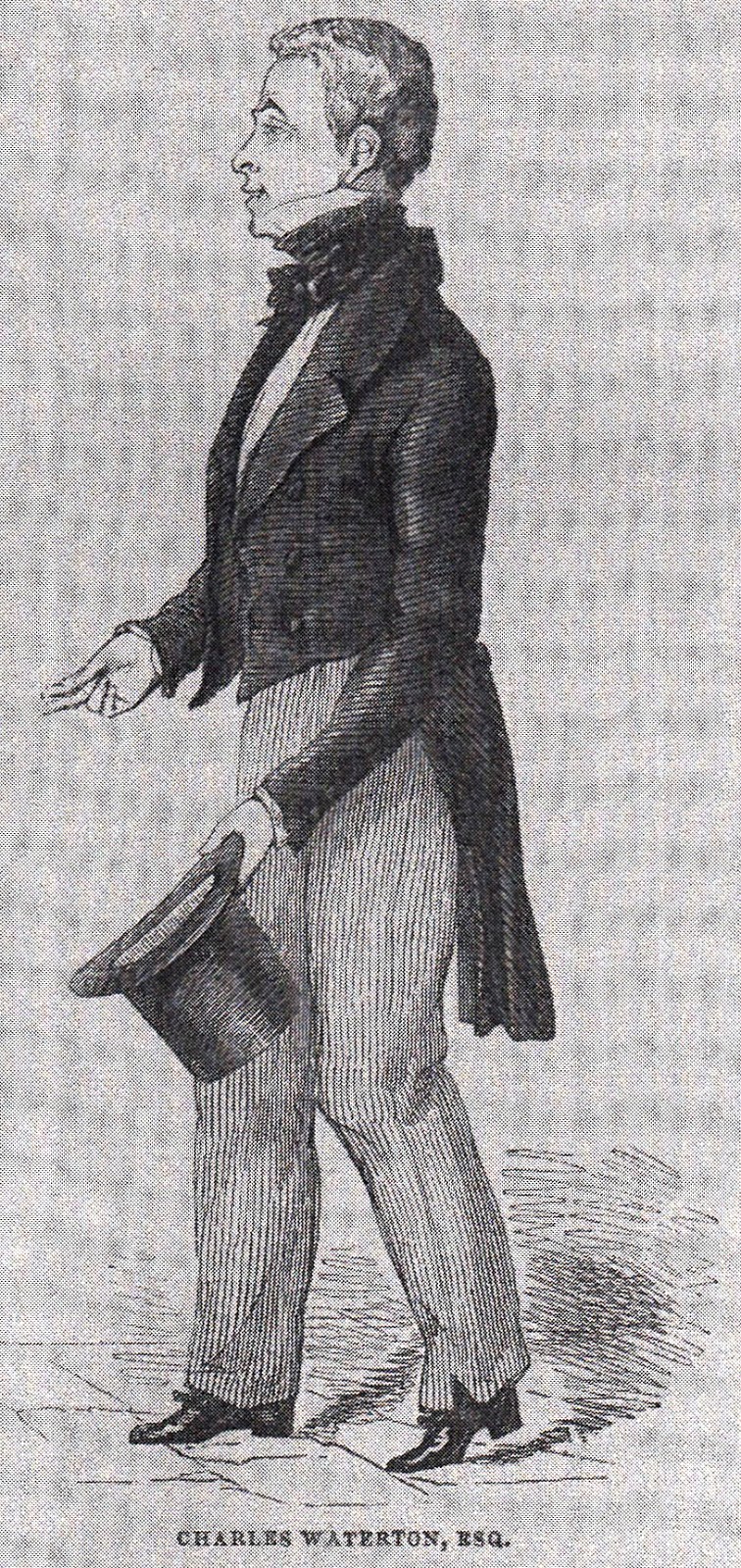 Natural History, Creation and Religious Conflicts A famous “ride