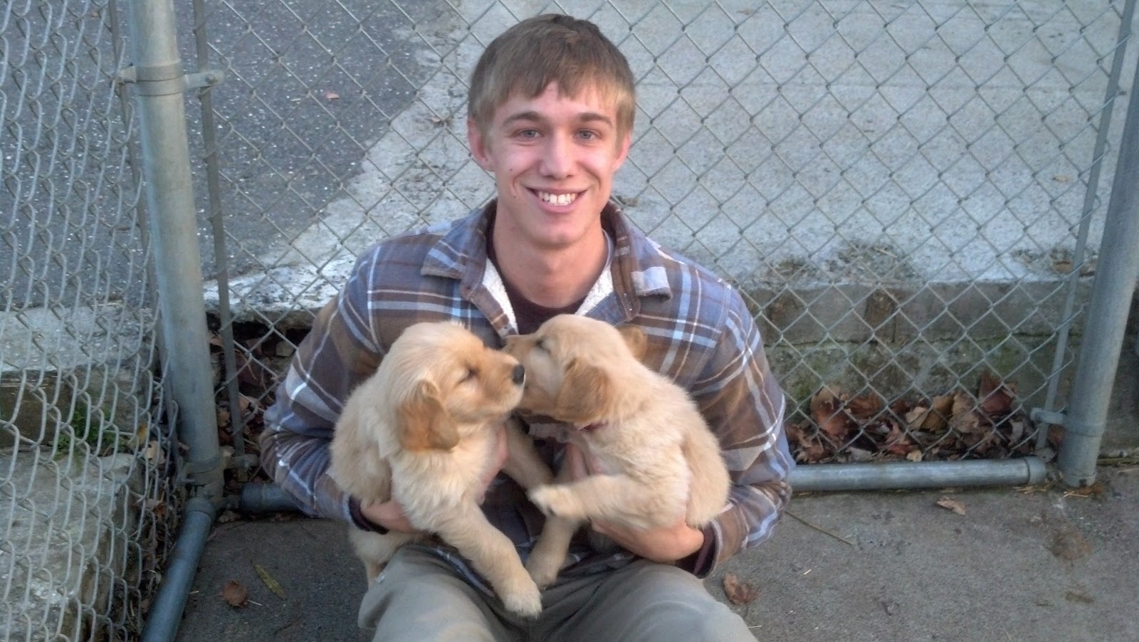 Staycations in Harrisonburg Puppy Farm A brightened day is only 20 minutes away!