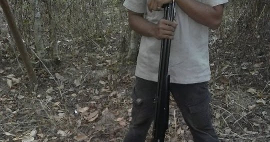 93 Gambar Babi Hutan Kena Tembak Kekinian 93 Gambar Babi Hutan Kena Tembak Kekinian