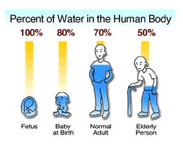 Can Human Body Digest Glass Can Human Body Digest Glass