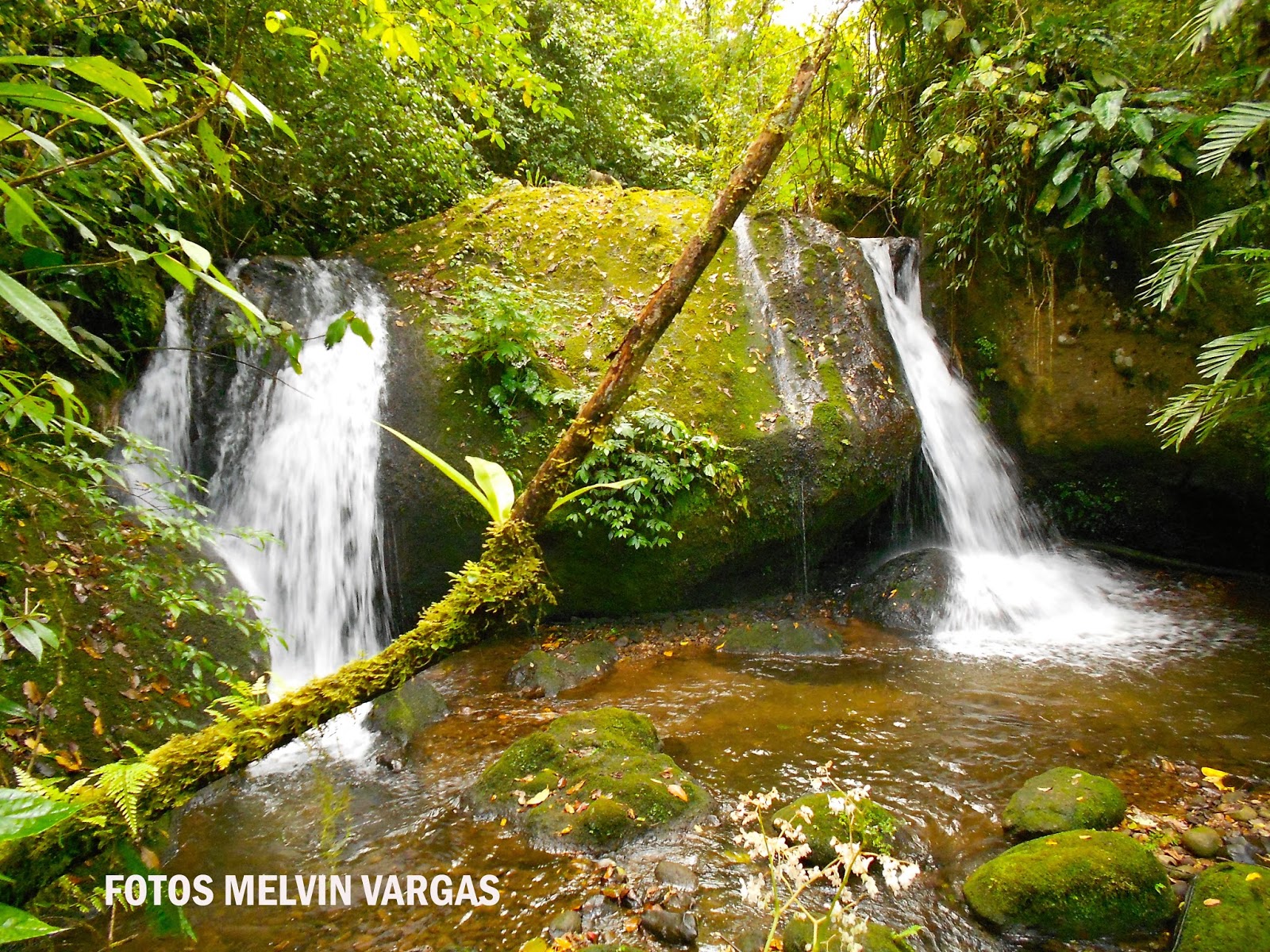 VIAJEROS NICARAGUA Macizo Peñas Blancas