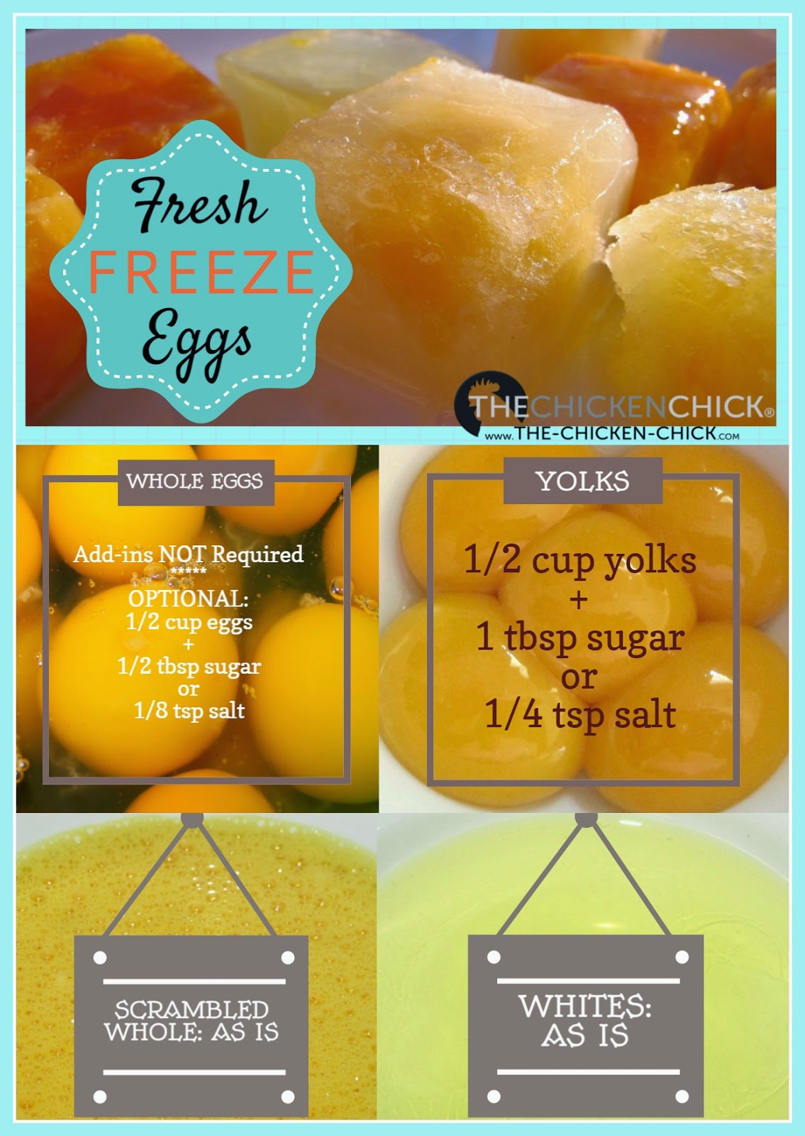 How to Freeze Fresh Eggs The Chicken Chick®