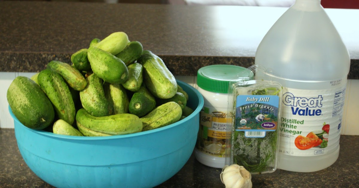 it's just Laine Preserving the Harvest Homemade ClaussenStyle Pickles