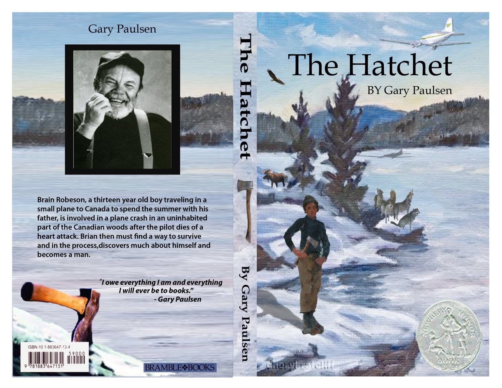 essays on the book hatchet essays on the book hatchet